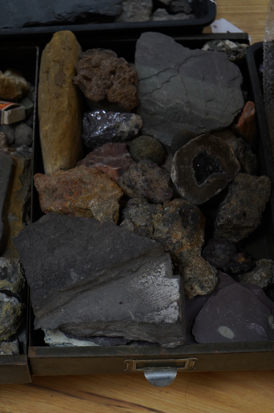 Five trays of fossils and minerals including a glacial river bed sample, lava flow, fossil tree imprint, reduction spots in slate, galina ore sample, a fossil sponge?, ammonites, vertebrae, onchinod ferns, seeds, shell i